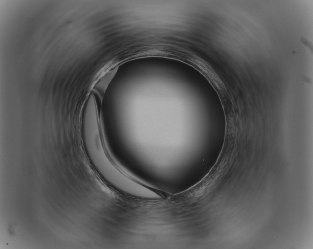 X0000091470858200709131751