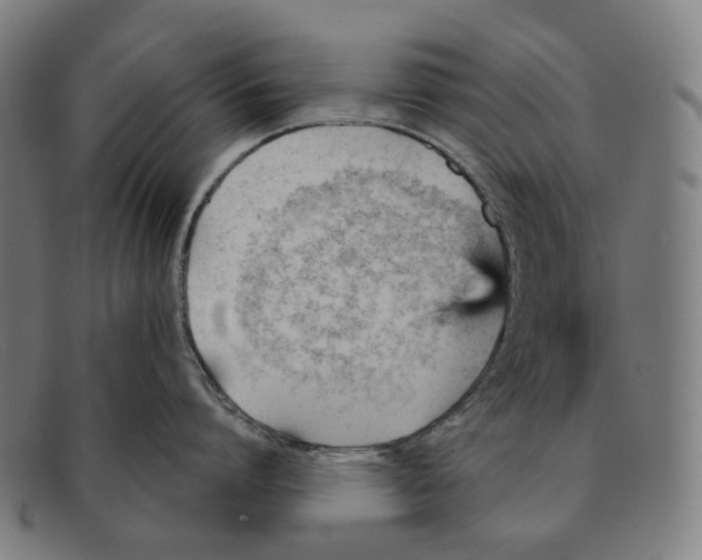 X0000091470864200709131751