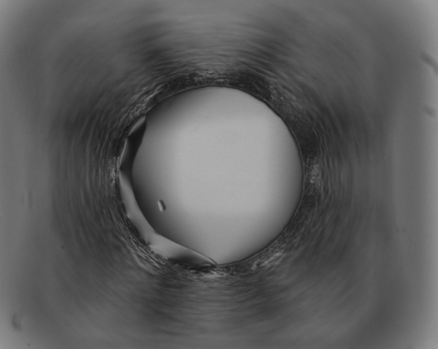 X0000091470868200709131750