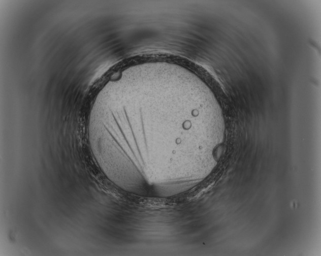 X0000091470871200709131750