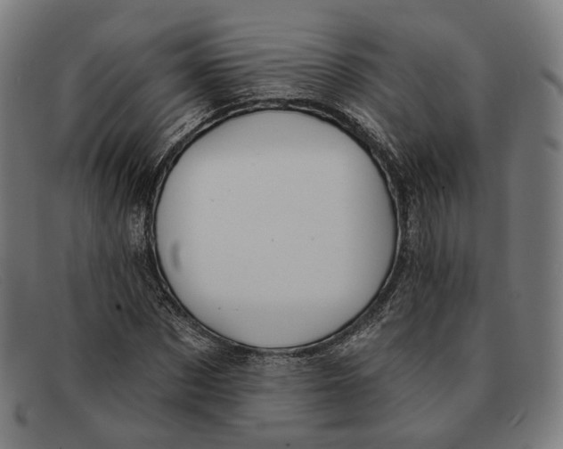 X0000091470873200709131750