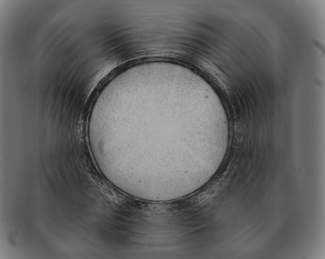 X0000091470875200709131750