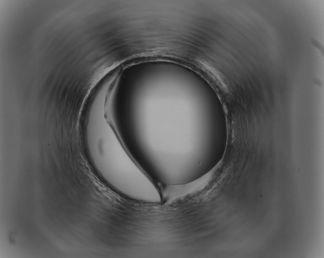 X0000091470876200709131750