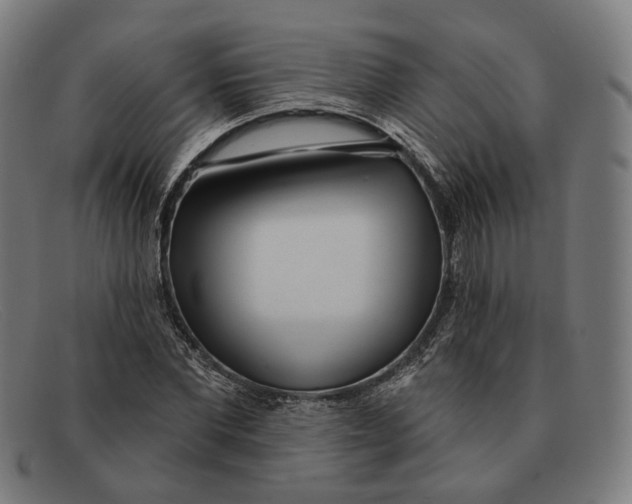 X0000091470877200709131750