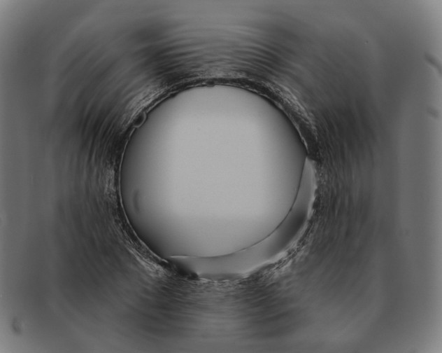 X0000091470881200709131750