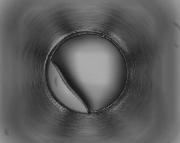 X0000091470884200709131750