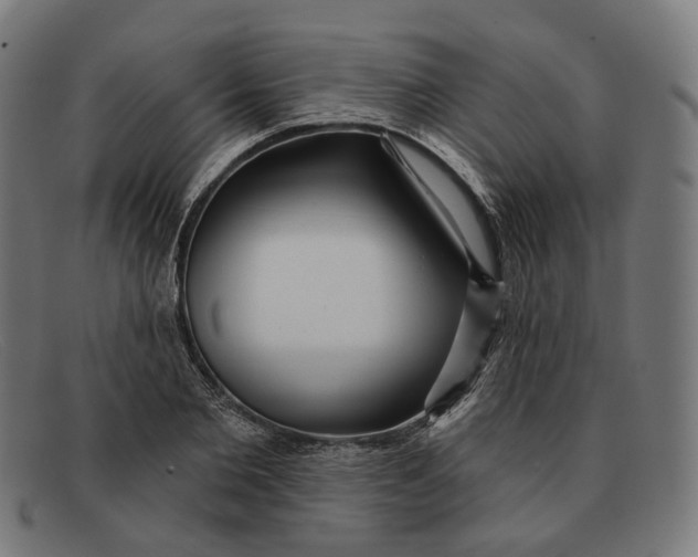 X0000091470885200709131750