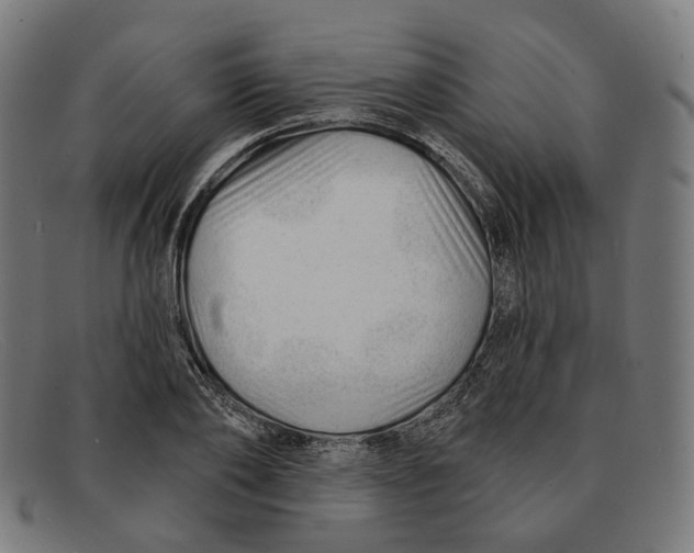 X0000091470886200709131750