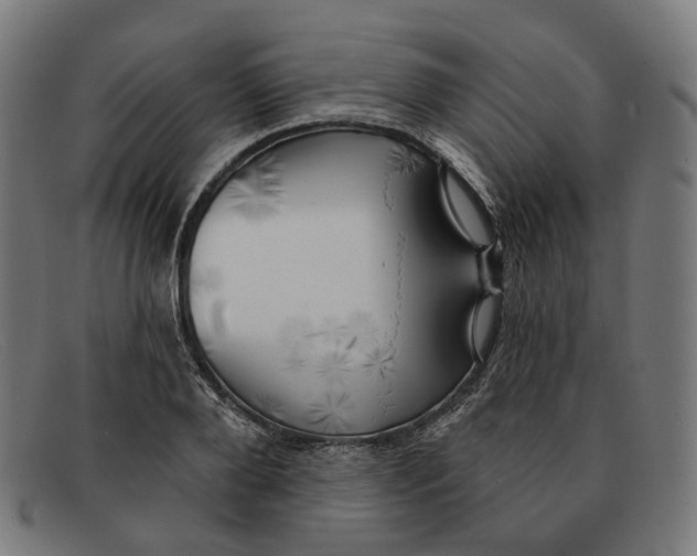 X0000091470888200709131750