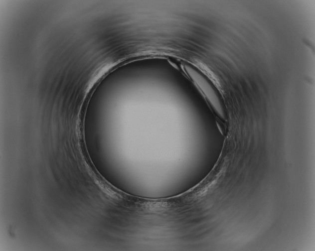 X0000091470893200709131750