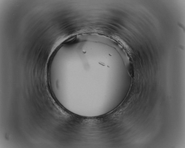 X0000091470894200709131750