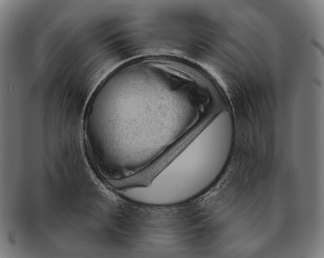 X0000091470895200709131750