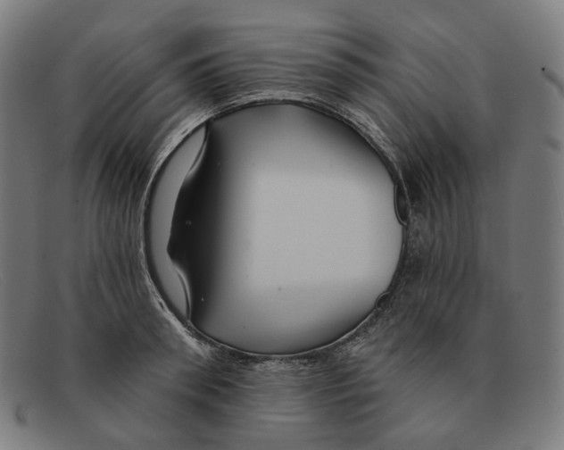 X0000091470898200709131750