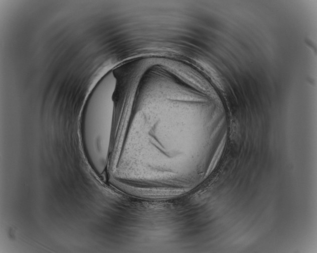 X0000091470899200709131750