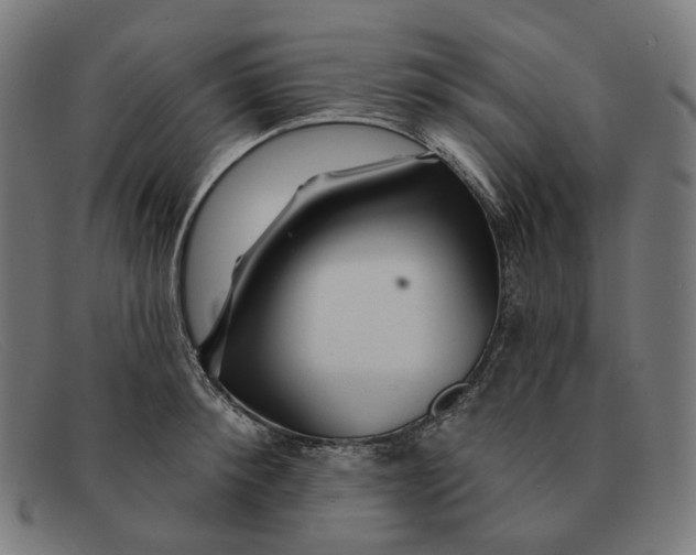 X0000091470900200709131750