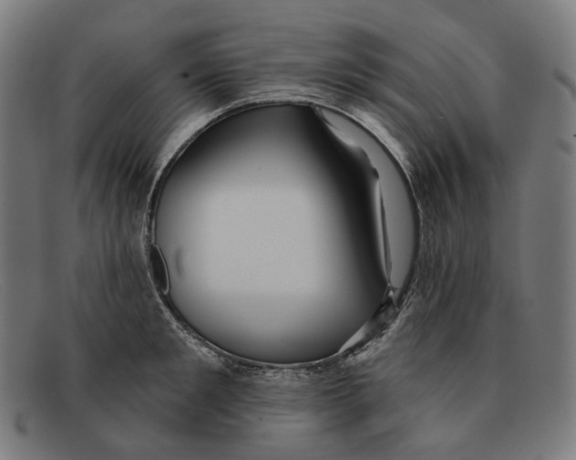 X0000091470901200709131750