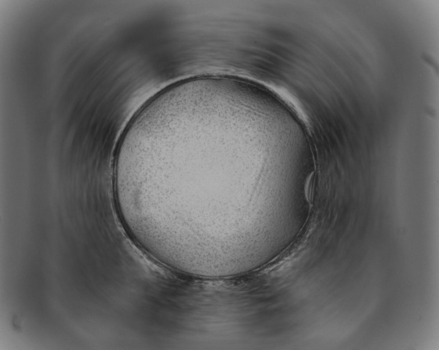 X0000091470903200709131750