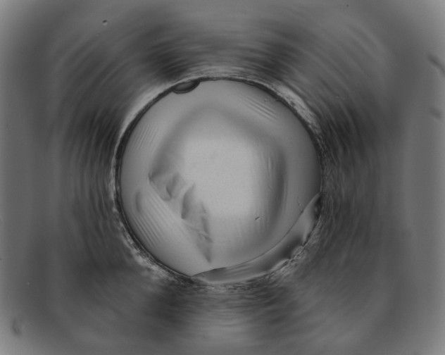 X0000091470904200709131750