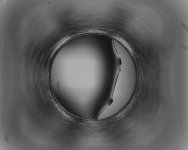 X0000091470910200709131750