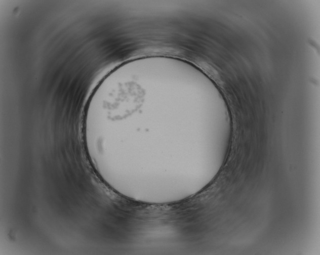 X0000091470912200709131750