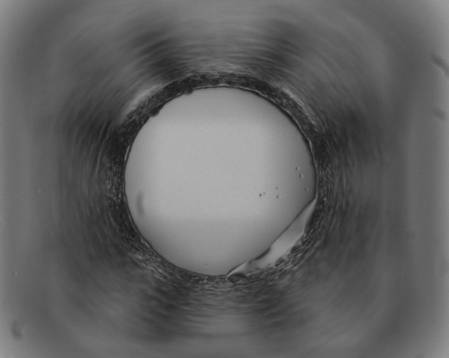 X0000091470919200709131749