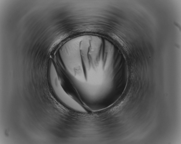 X0000091470922200709131750