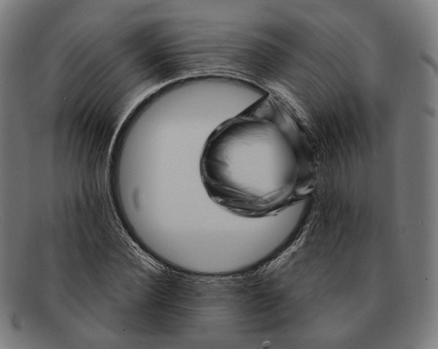 X0000091470924200709131750