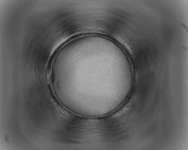 X0000091470925200709131750