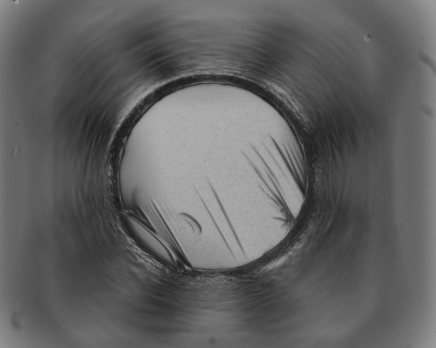 X0000091470926200709131750