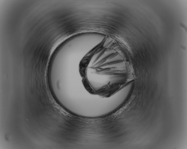 X0000091470928200709131750