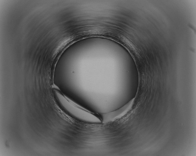 X0000091470930200709131750