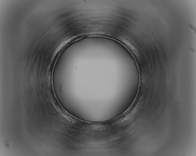 X0000091470933200709131750