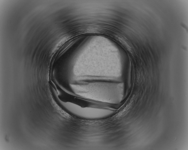 X0000091470938200709131750