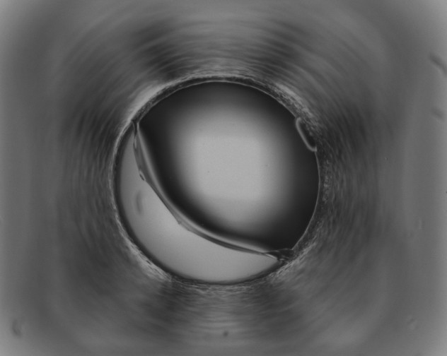 X0000091470942200709131750