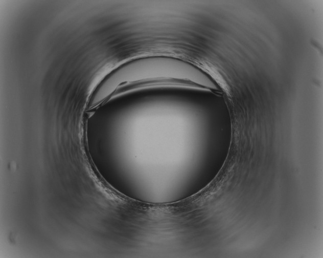 X0000091470944200709131750