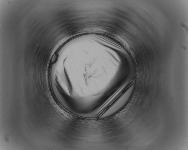 X0000091470947200709131750