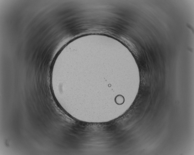 X0000091470950200709131750