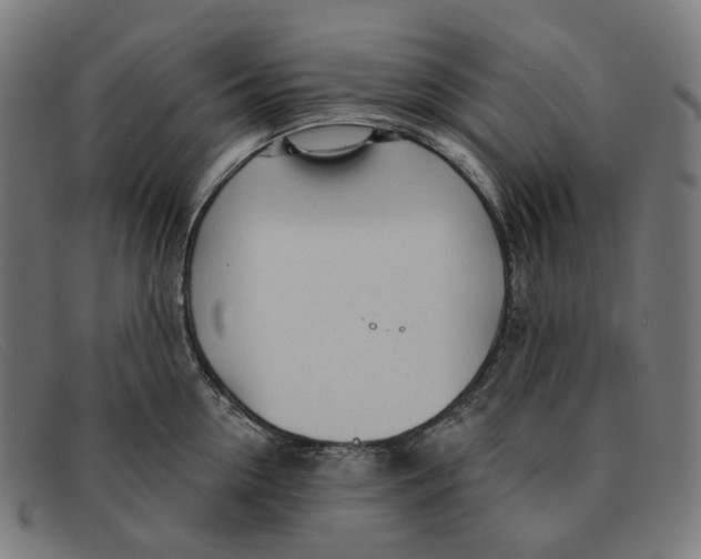 X0000091470954200709131750