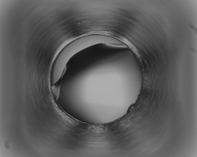 X0000091470955200709131750