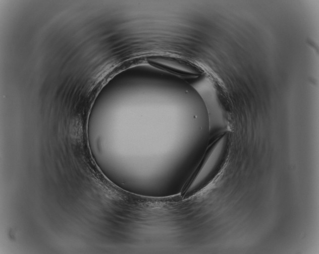 X0000091470969200709131749