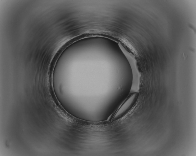 X0000091470976200709131749