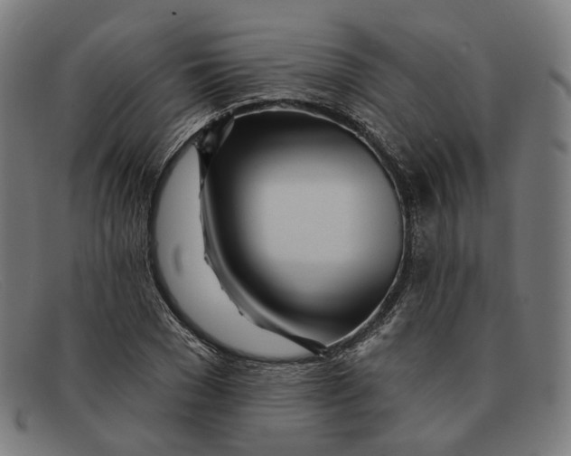 X0000091470977200709131749