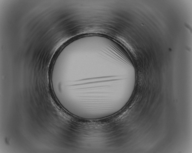 X0000091470980200709131749