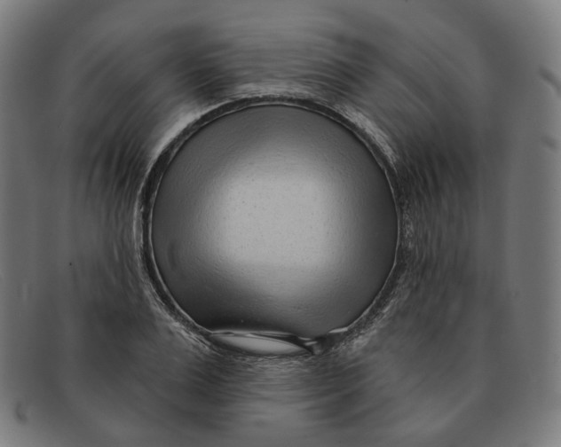 X0000091470983200709131749