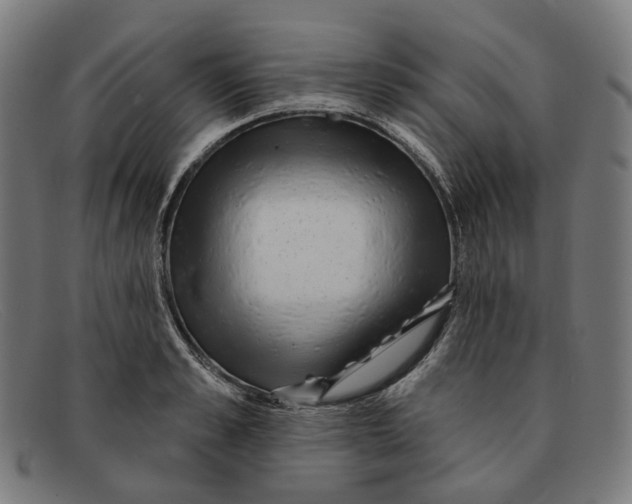 X0000091470989200709131749