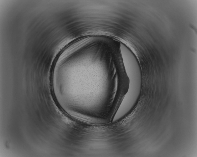 X0000091470995200709131749