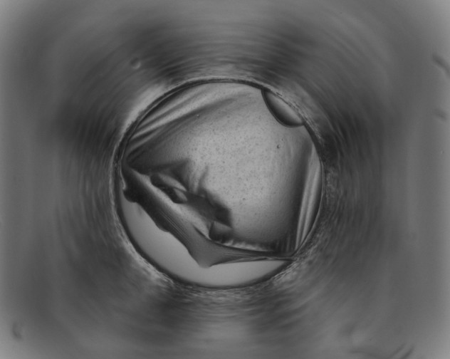 X0000091470998200709131749