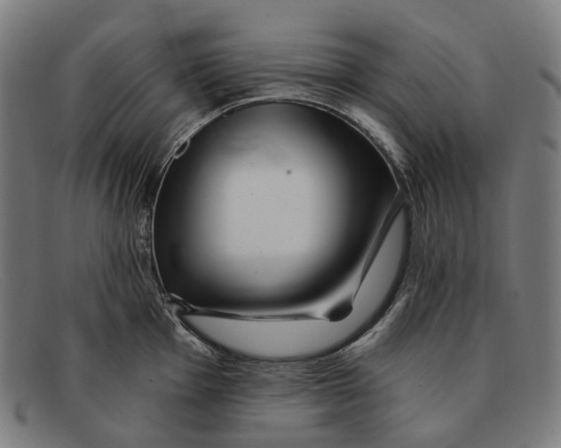 X0000091471001200709131749