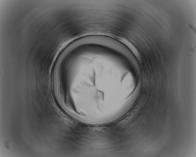 X0000091471004200709131749