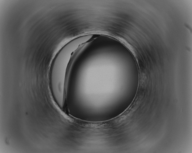 X0000091471005200709131749